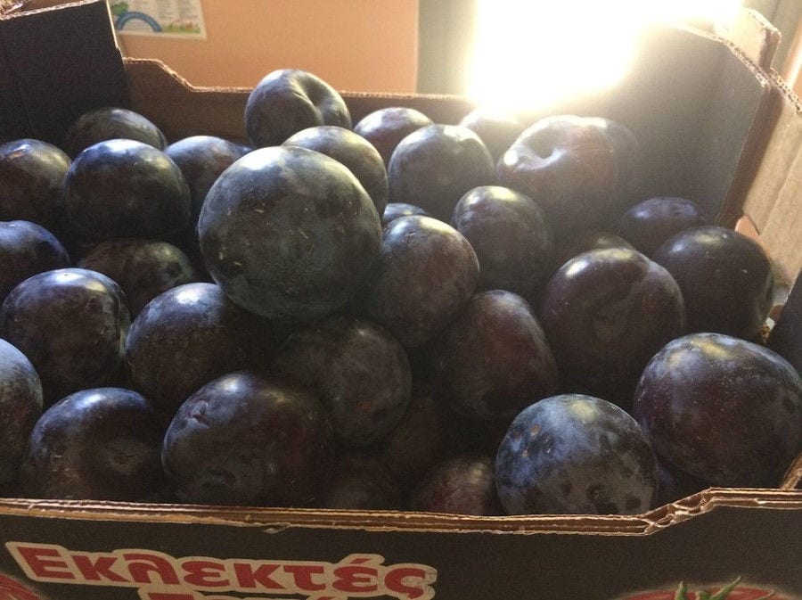 close-up of wooden crate with plums at 'Eleonas'